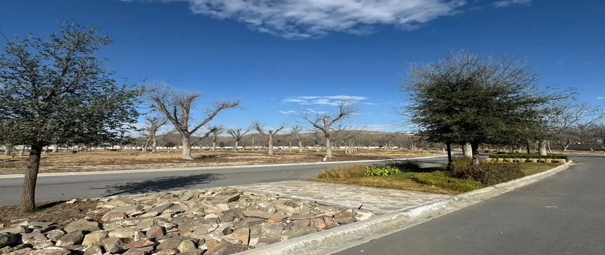 Foto de terreno habitacional en venta en jacarandas , de peña, saltillo, coahuila de zaragoza, 29263025 No. 05