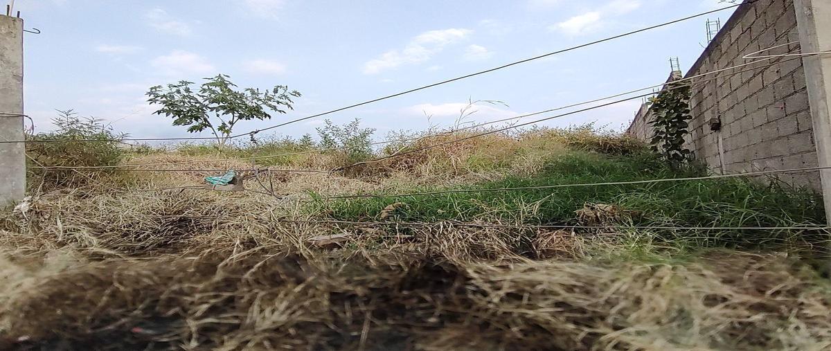 Foto de terreno industrial en renta en jacarandas , paraíso montessori, cuernavaca, morelos, 0 No. 09
