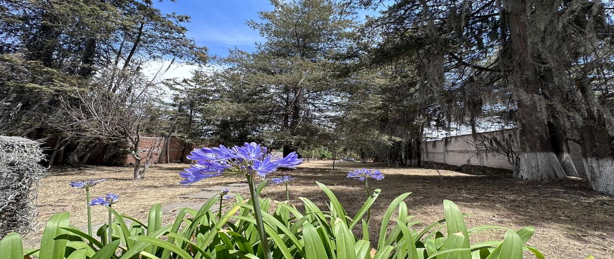 Foto de terreno habitacional en venta en jacarandas , santa rita tlahuapan, tlahuapan, puebla, 27967023 No. 04