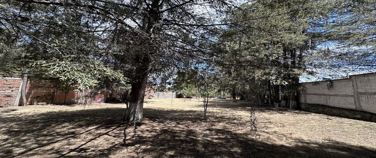 Foto de terreno habitacional en venta en jacarandas , santa rita tlahuapan, tlahuapan, puebla, 27967023 No. 07