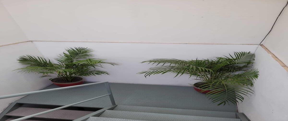 Foto de oficina en renta en . , jacarandas, tlalnepantla de baz, méxico, 28594270 No. 05