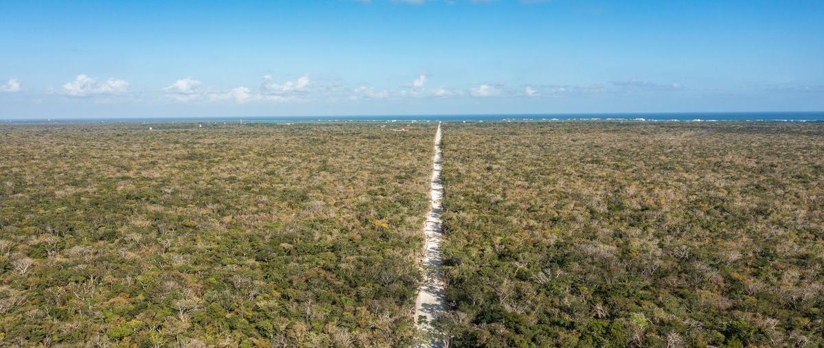 Foto de terreno habitacional en venta en jacinto pat , tankah cuatro, tulum, quintana roo, 29942268 No. 05