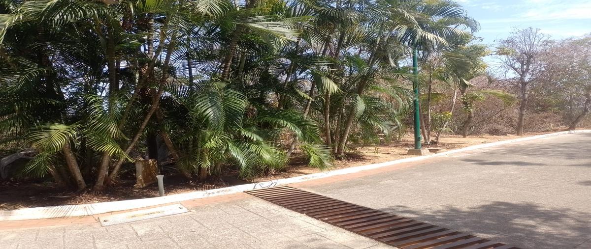 Foto de terreno habitacional en venta en jacques custeau , brisas del marqués, acapulco de juárez, guerrero, 29322879 No. 05