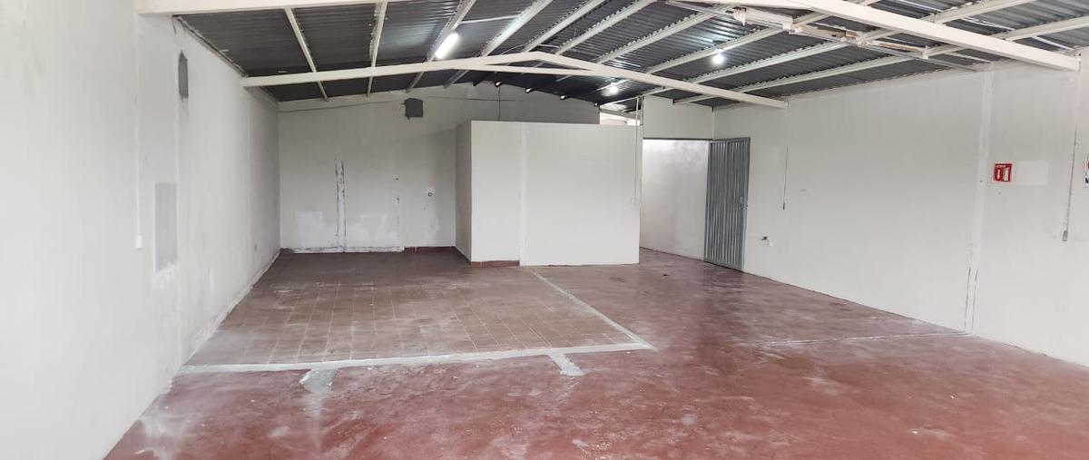 Foto de bodega en renta en jadrines de san rafael , san rafael, guadalupe, nuevo león, 31032080 No. 03