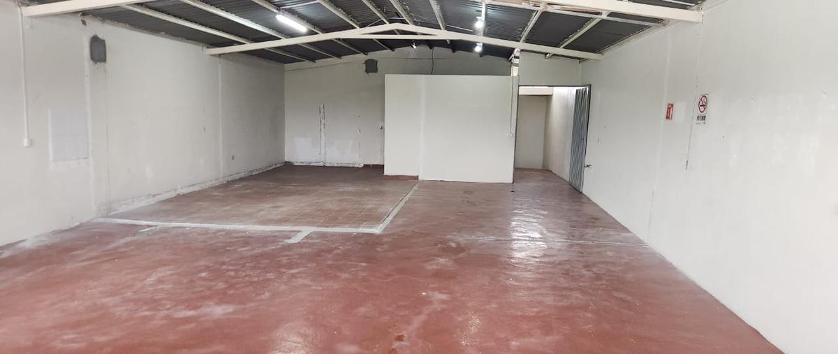 Foto de bodega en renta en jadrines de san rafael , san rafael, guadalupe, nuevo león, 31032080 No. 04
