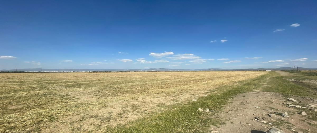 Foto de terreno habitacional en venta en  , jagüey de téllez (estación téllez), zempoala, hidalgo, 0 No. 04