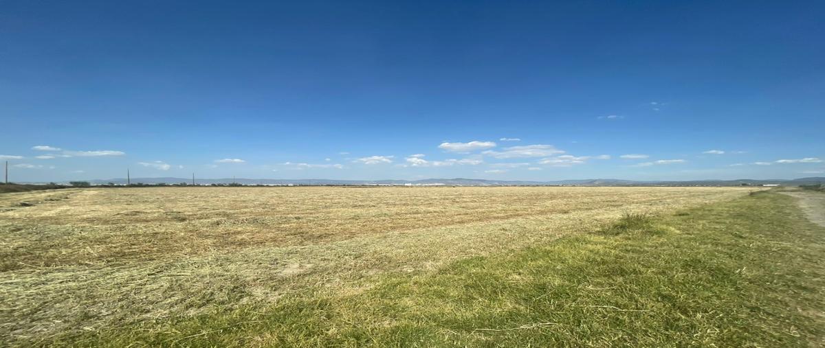 Foto de terreno habitacional en venta en  , jagüey de téllez (estación téllez), zempoala, hidalgo, 0 No. 05