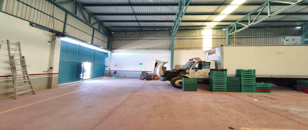 Foto de bodega en renta en jaime bravo , benito juárez oriente, la paz, baja california sur, 0 No. 04