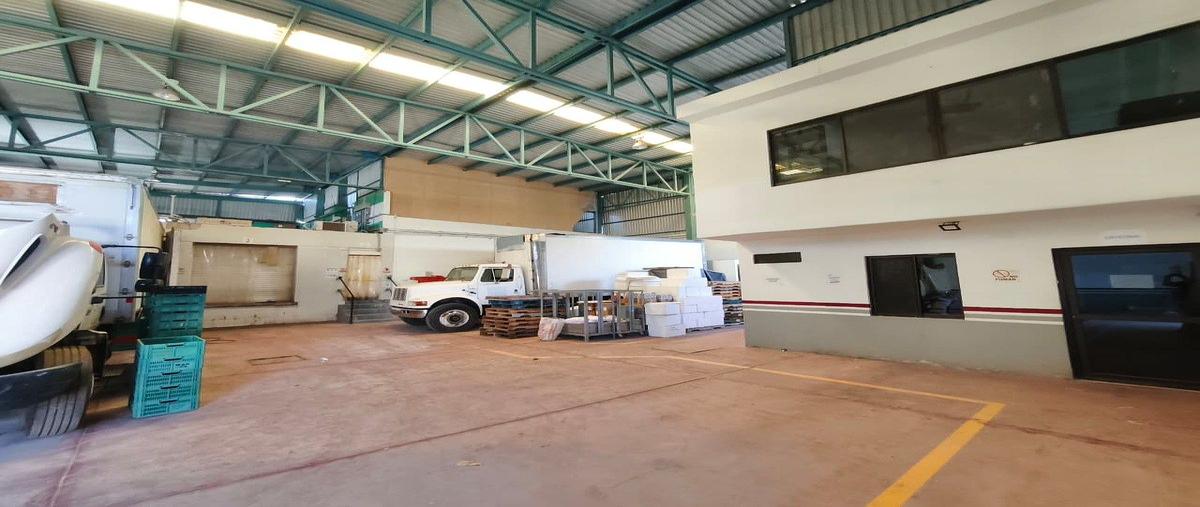 Foto de bodega en renta en jaime bravo , benito juárez oriente, la paz, baja california sur, 0 No. 05