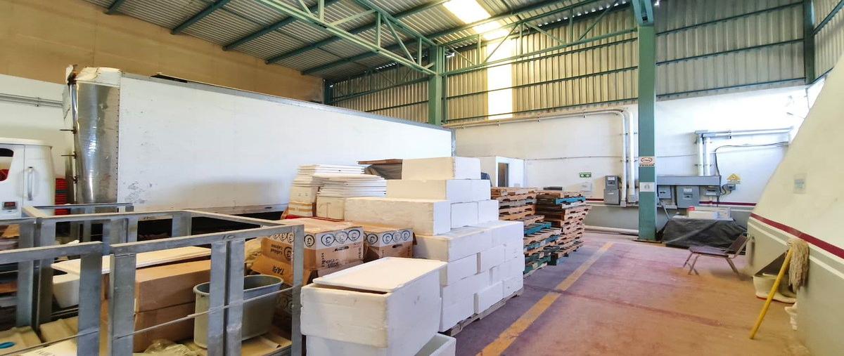 Foto de bodega en renta en jaime bravo , benito juárez oriente, la paz, baja california sur, 0 No. 06