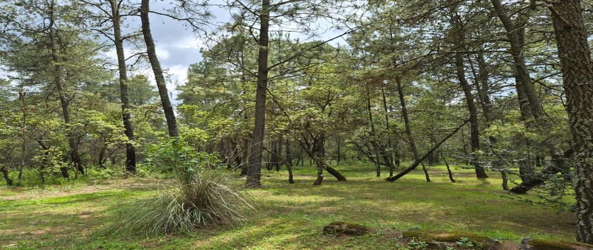 Foto de terreno habitacional en venta en jal 437 00, ferreria de tula, tapalpa, jalisco, 30201570 No. 03