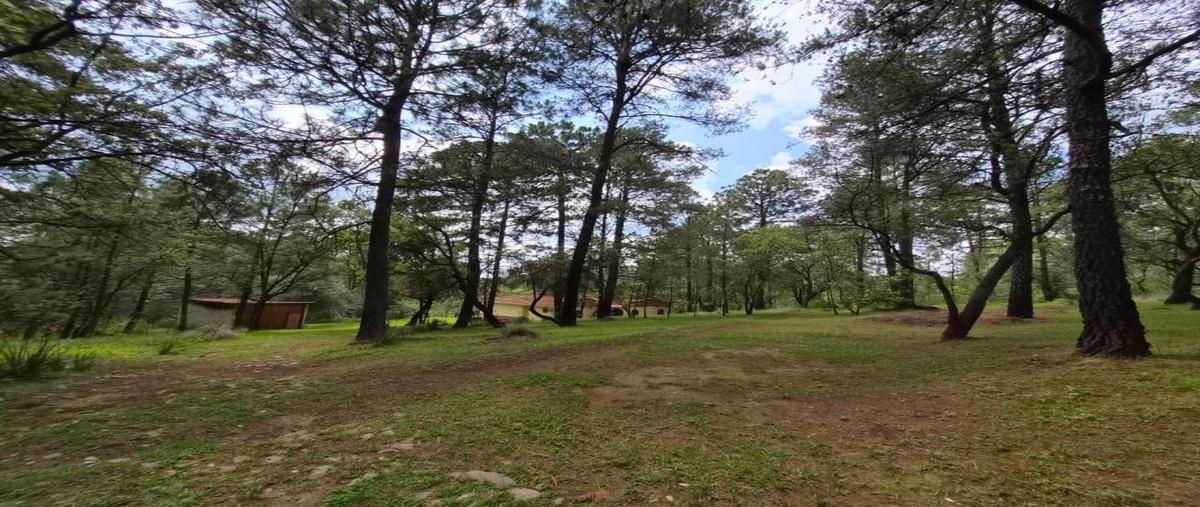 Foto de terreno habitacional en venta en jal 437 00, ferreria de tula, tapalpa, jalisco, 30201570 No. 04