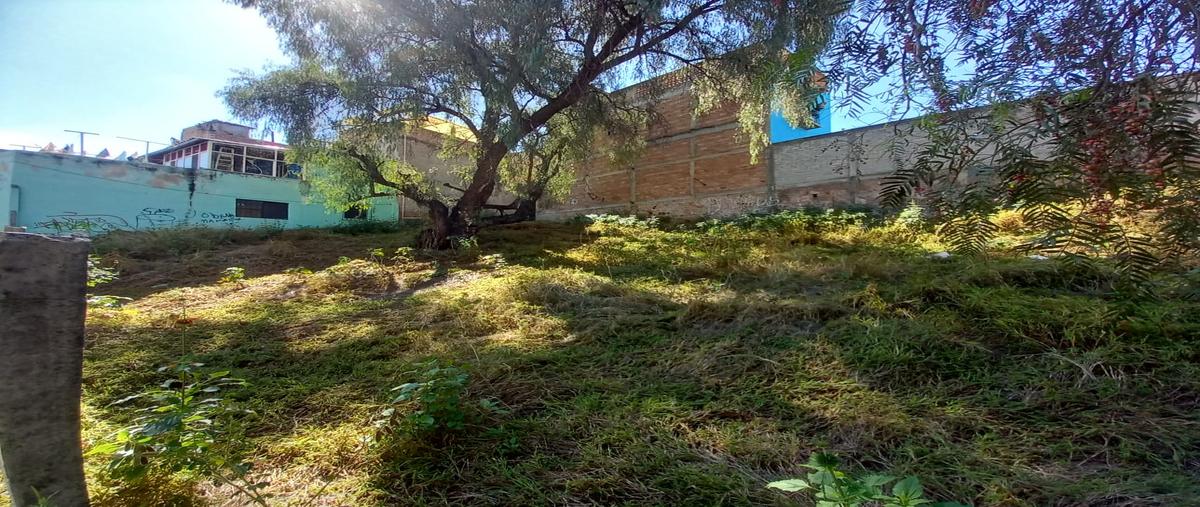 Foto de terreno habitacional en venta en jalapita , lomas de marfil i, guanajuato, guanajuato, 27493866 No. 03