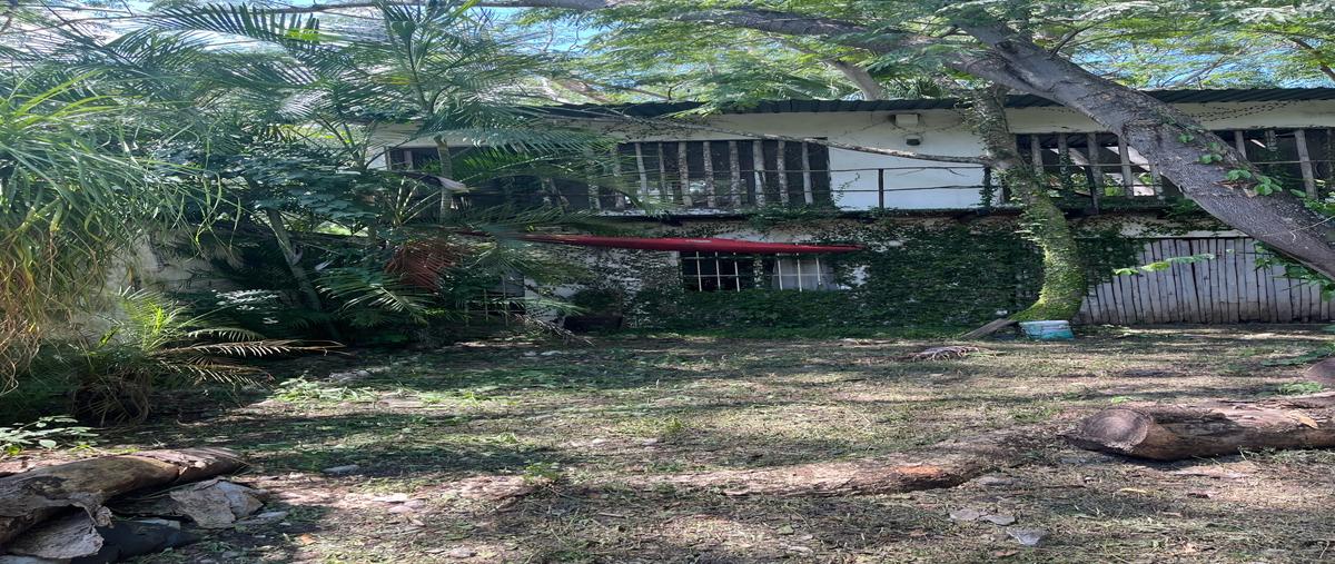 Foto de casa en , jalcomulco, jalcomulco, veracruz de ignacio de la llave, 26374713 foto 03 Foto de casa en venta en , jalcomulco, jalcomulco, veracruz de ignacio de la llave, 26374713 No. 03