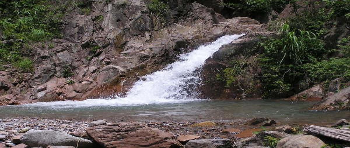 Foto de terreno habitacional en venta en  , jaleaca de catalán, chilpancingo de los bravo, guerrero, 0 No. 04