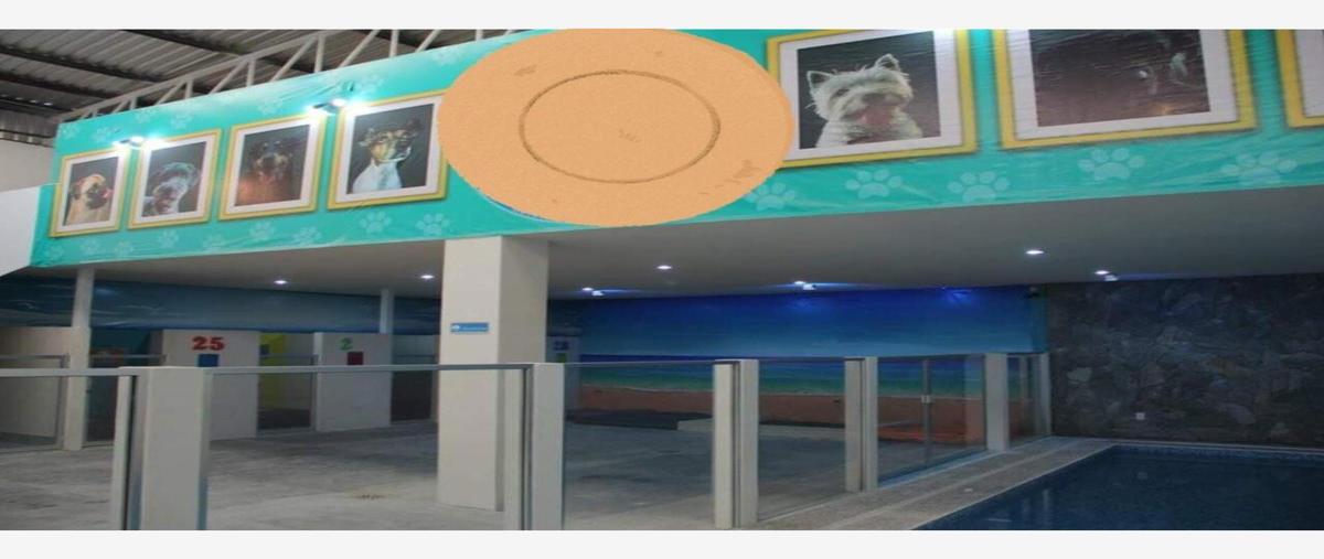 Foto de bodega en venta en jalisco manzana 27 l18, ampliación los ángeles, corregidora, querétaro, 26388126 No. 03