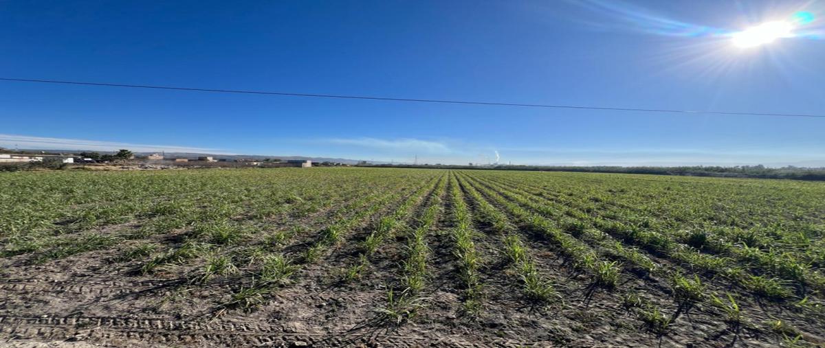 Foto de terreno industrial en venta en jalisco, tala, parcela 688 z1 p4/4 del ejido tala , el venado, tala, jalisco, 27917416 No. 01
