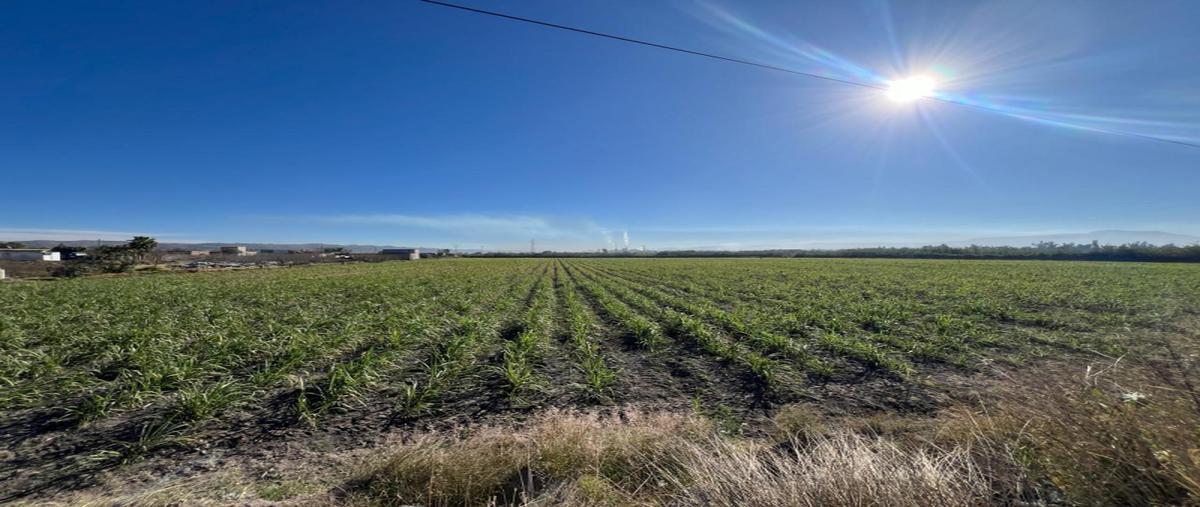 Foto de terreno industrial en venta en jalisco, tala, parcela 688 z1 p4/4 del ejido tala , el venado, tala, jalisco, 27917416 No. 04