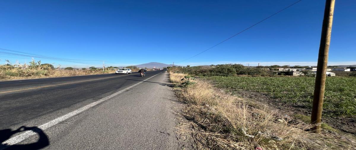 Foto de terreno industrial en venta en jalisco, tala, parcela 688 z1 p4/4 del ejido tala , el venado, tala, jalisco, 27917416 No. 05