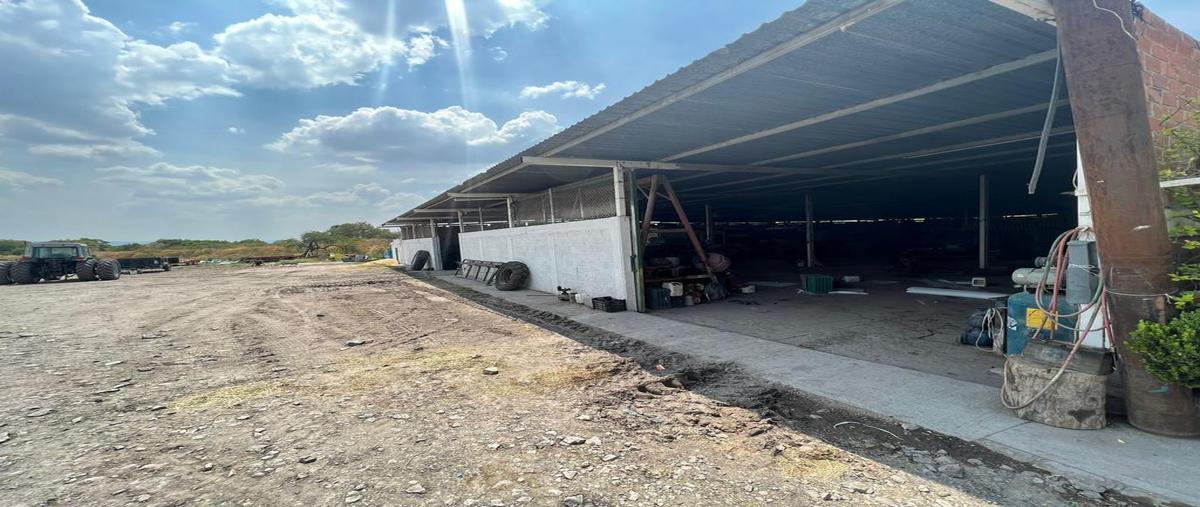 Foto de terreno habitacional en , jalpa de cánovas, purísima del rincón, guanajuato, 0 foto 03 Foto de terreno habitacional en venta en , jalpa de cánovas, purísima del rincón, guanajuato, 0 No. 03