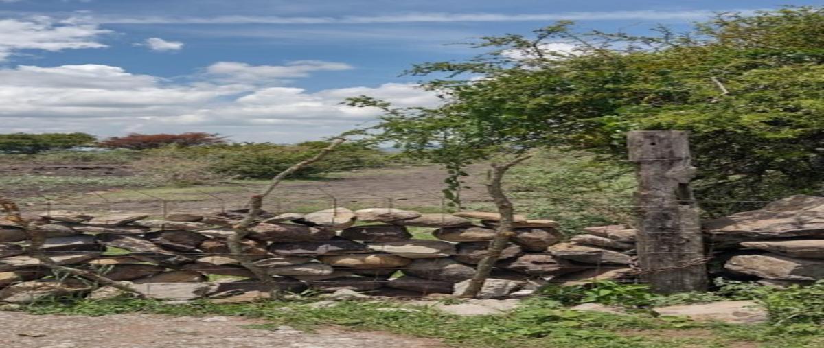Foto de terreno habitacional en venta en  , jalpa, san miguel de allende, guanajuato, 0 No. 06