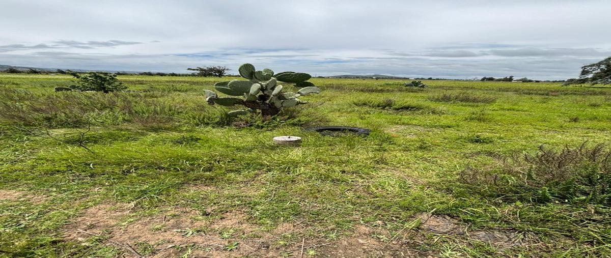 Foto de terreno habitacional en venta en  , jaltepec, tulancingo de bravo, hidalgo, 30166450 No. 04