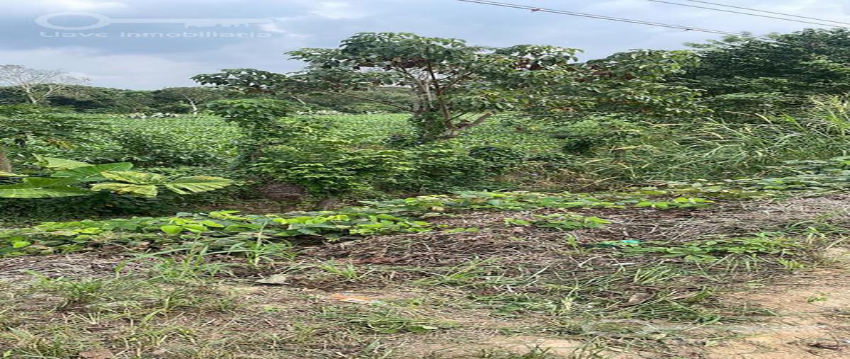 Foto de terreno habitacional en , jaltipan de morelos centro, jáltipan, veracruz de ignacio de la llave, 0 foto 04 Foto de terreno habitacional en venta en , jaltipan de morelos centro, jáltipan, veracruz de ignacio de la llave, 0 No. 04