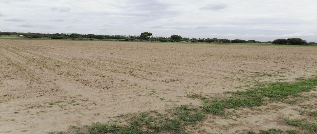 Foto de terreno habitacional en , jaltomate, aguascalientes, aguascalientes, 25297572 foto 01 Foto de terreno habitacional en venta en , jaltomate, aguascalientes, aguascalientes, 25297572 No. 01