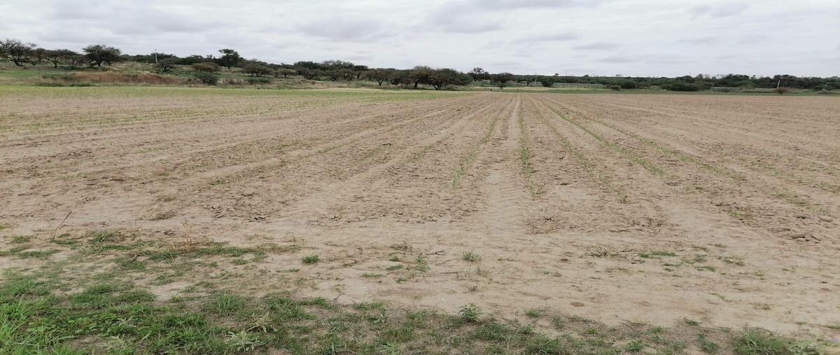 Foto de terreno habitacional en , jaltomate, aguascalientes, aguascalientes, 25297572 foto 03 Foto de terreno habitacional en venta en , jaltomate, aguascalientes, aguascalientes, 25297572 No. 03
