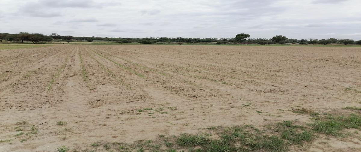 Foto de terreno habitacional en , jaltomate, aguascalientes, aguascalientes, 25297572 foto 05 Foto de terreno habitacional en venta en , jaltomate, aguascalientes, aguascalientes, 25297572 No. 05