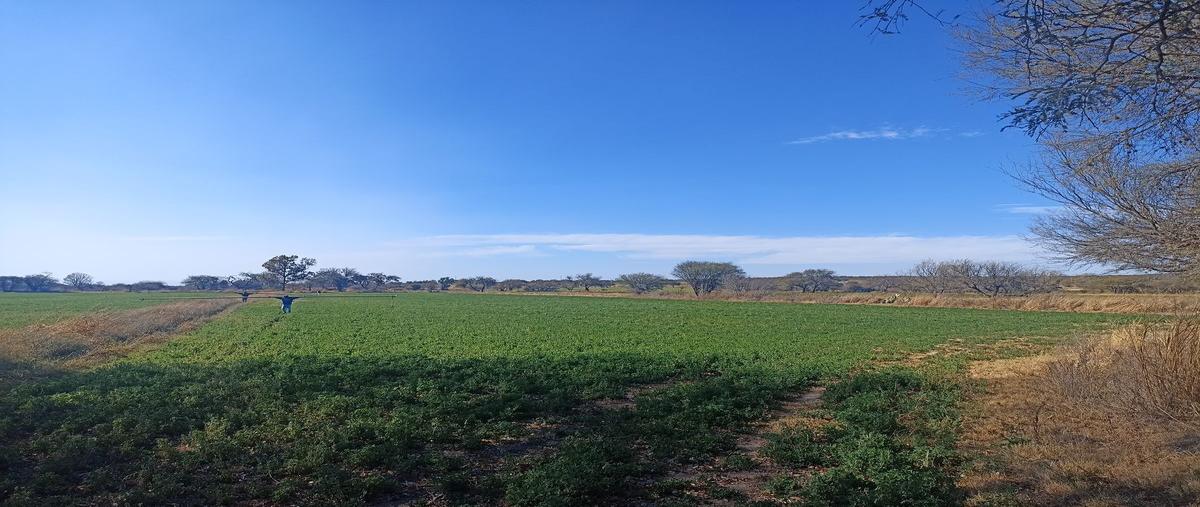 Foto de terreno habitacional en venta en  , jaltomate, aguascalientes, aguascalientes, 25994233 No. 03