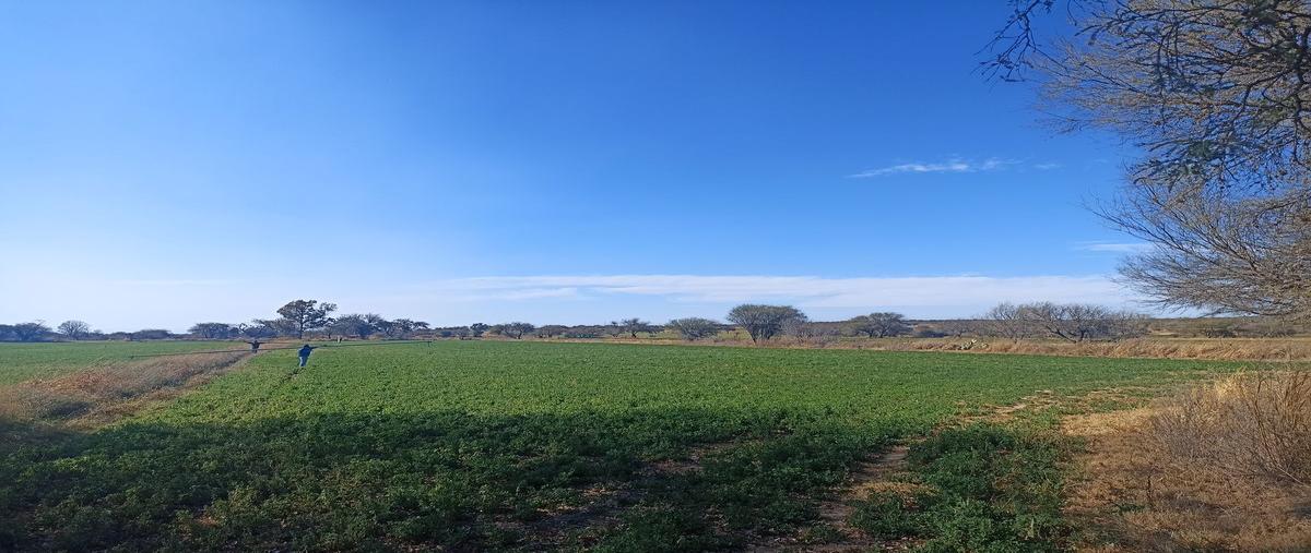 Foto de terreno habitacional en venta en  , jaltomate, aguascalientes, aguascalientes, 25994233 No. 04