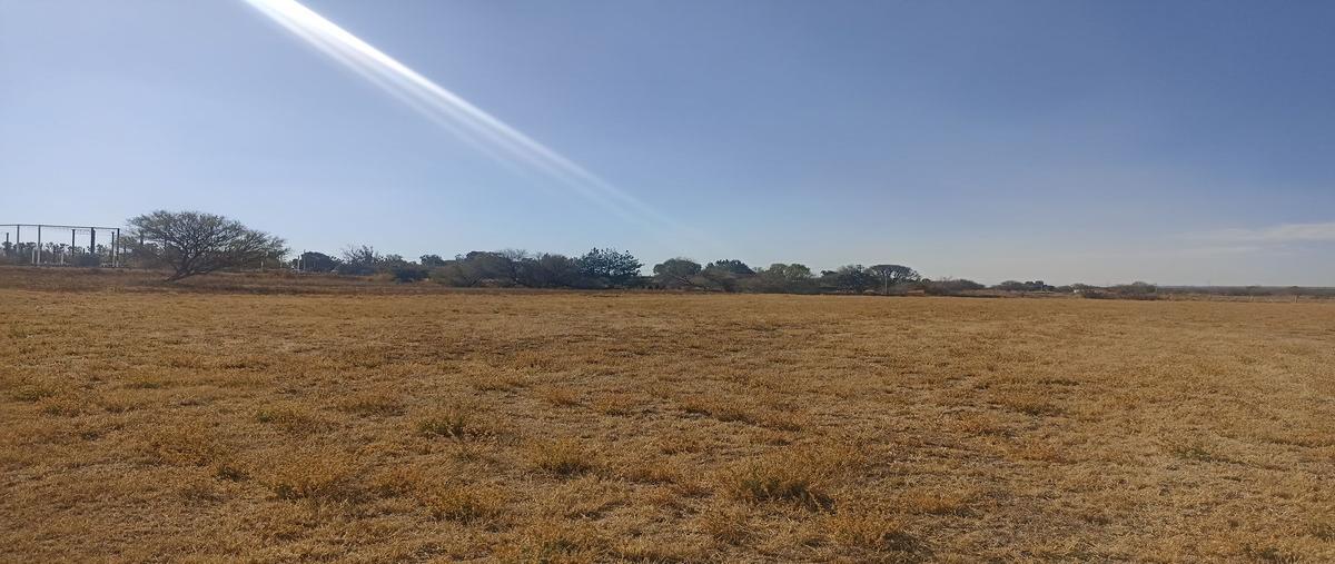 Foto de terreno habitacional en venta en  , jaltomate, aguascalientes, aguascalientes, 25994233 No. 05