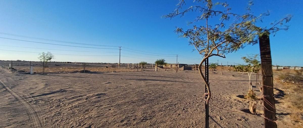 Foto de terreno habitacional en venta en jamaica b , la grullita, san luis río colorado, sonora, 0 No. 05