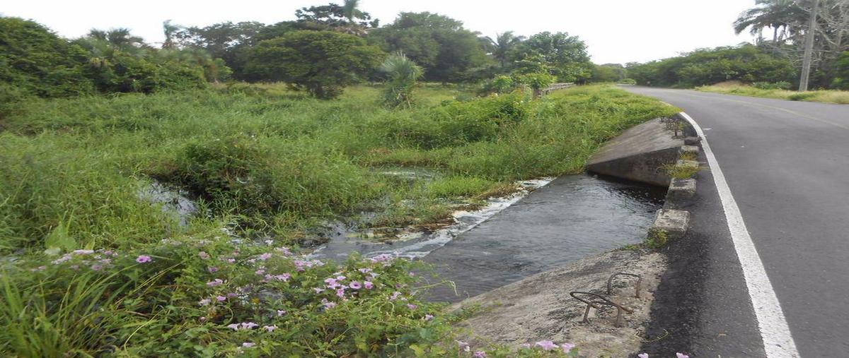 Foto de terreno habitacional en venta en  , jamapa, jamapa, veracruz de ignacio de la llave, 13749122 No. 04