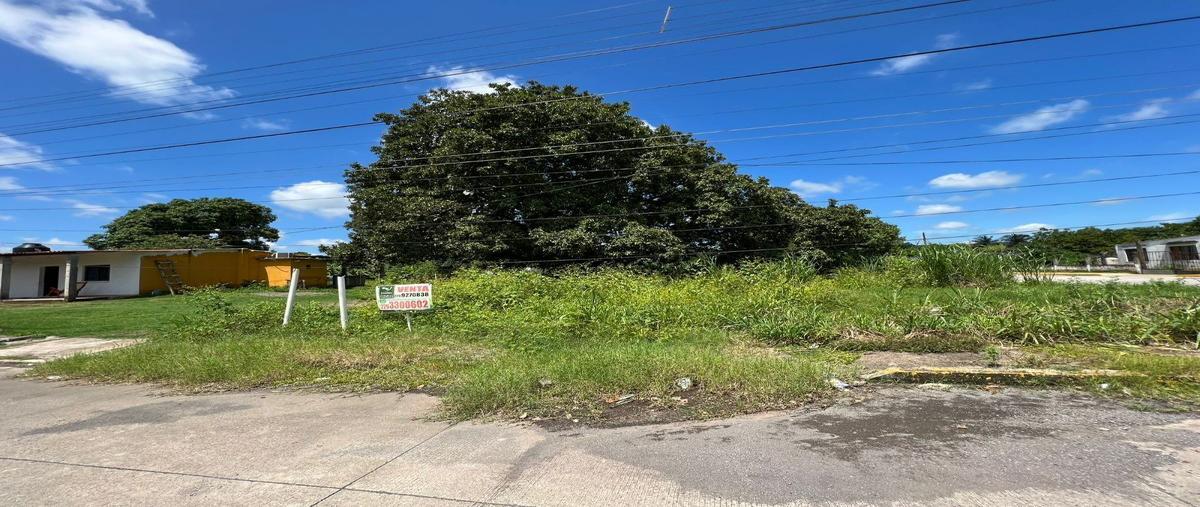 Foto de terreno habitacional en venta en  , jamapa, jamapa, veracruz de ignacio de la llave, 26932097 No. 05