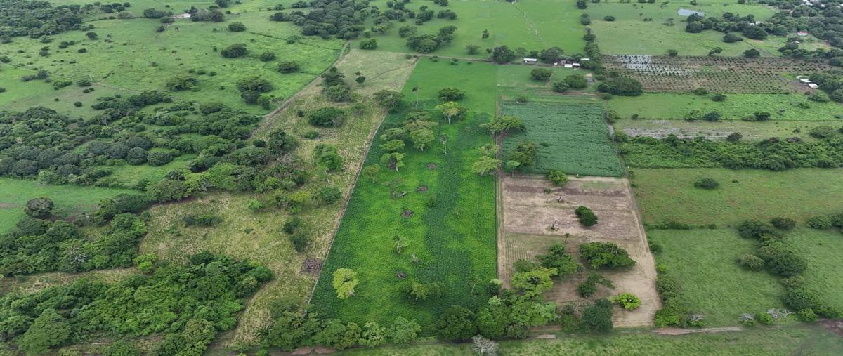 Foto de terreno habitacional en venta en  , jamapa, jamapa, veracruz de ignacio de la llave, 0 No. 03