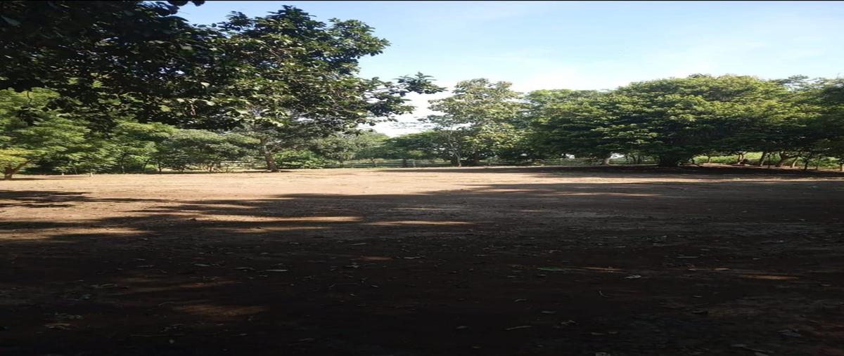 Foto de terreno habitacional en venta en  , jamapa, jamapa, veracruz de ignacio de la llave, 0 No. 03