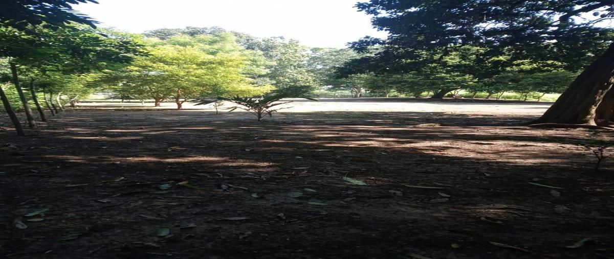 Foto de terreno habitacional en venta en  , jamapa, jamapa, veracruz de ignacio de la llave, 0 No. 05