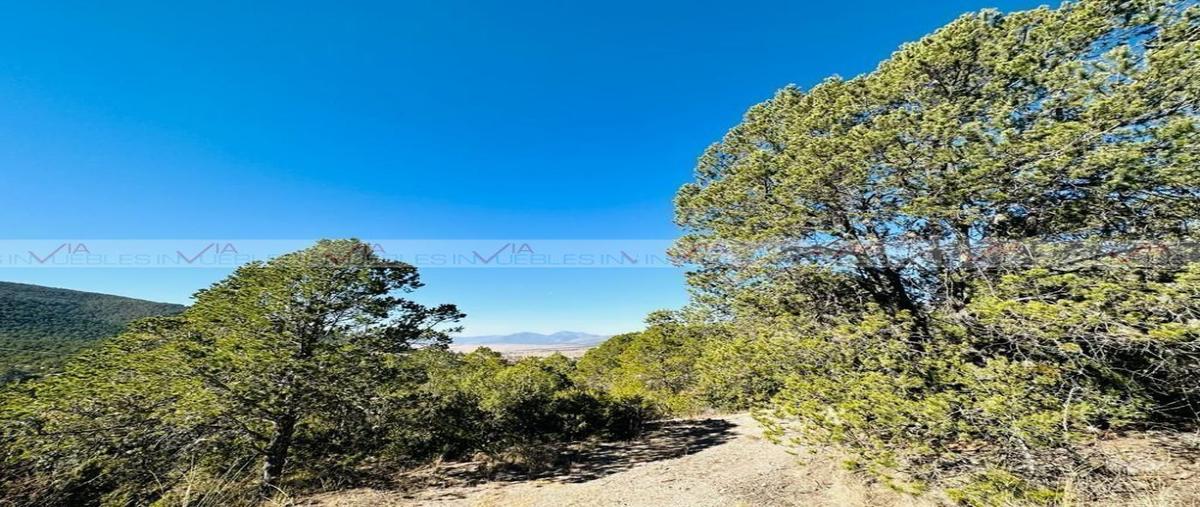 Foto de terreno habitacional en venta en  , jame, arteaga, coahuila de zaragoza, 27608546 No. 05