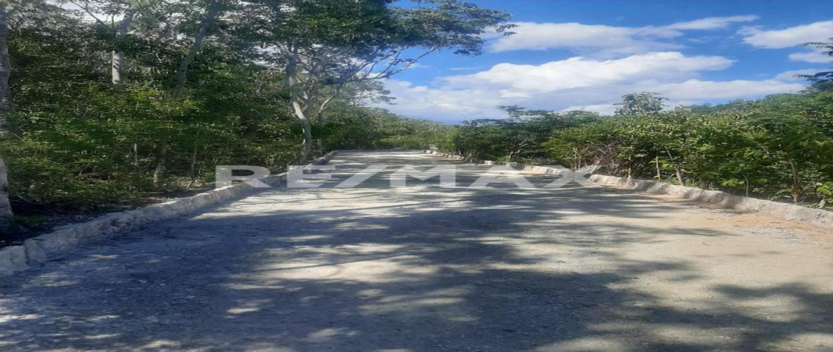 Foto de terreno habitacional en jangala , tulum centro, tulum, quintana roo, 0 foto 02 Foto de terreno habitacional en venta en jangala , tulum centro, tulum, quintana roo, 0 No. 02