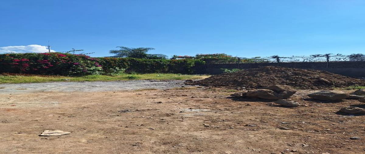 Foto de terreno habitacional en venta en jantetelco , reforma, cuernavaca, morelos, 0 No. 05