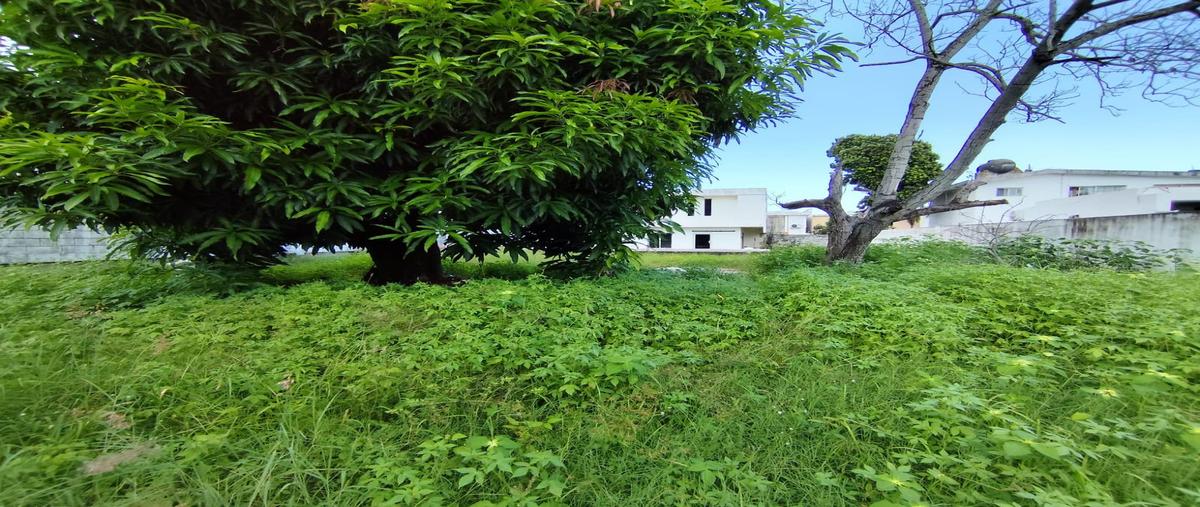 Foto de terreno habitacional en venta en  , jardín 20 de noviembre, ciudad madero, tamaulipas, 0 No. 04