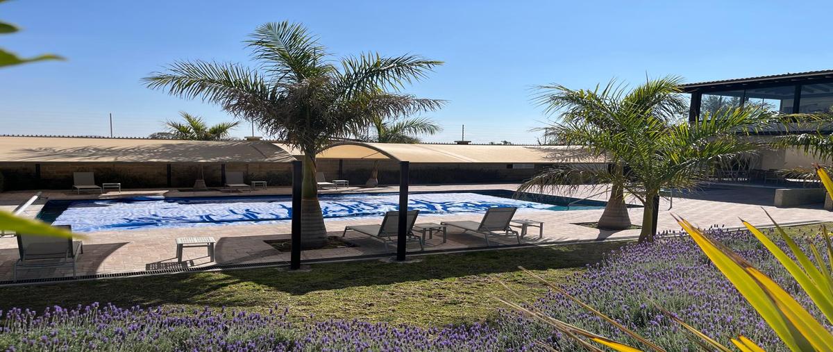 Foto de terreno habitacional en venta en jardin de mayorazgo , cerro prieto, el marqués, querétaro, 29488328 No. 03