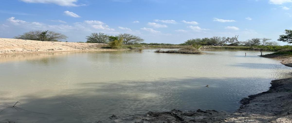 Foto de rancho en venta en  , jardín, gonzález, tamaulipas, 26755952 No. 05