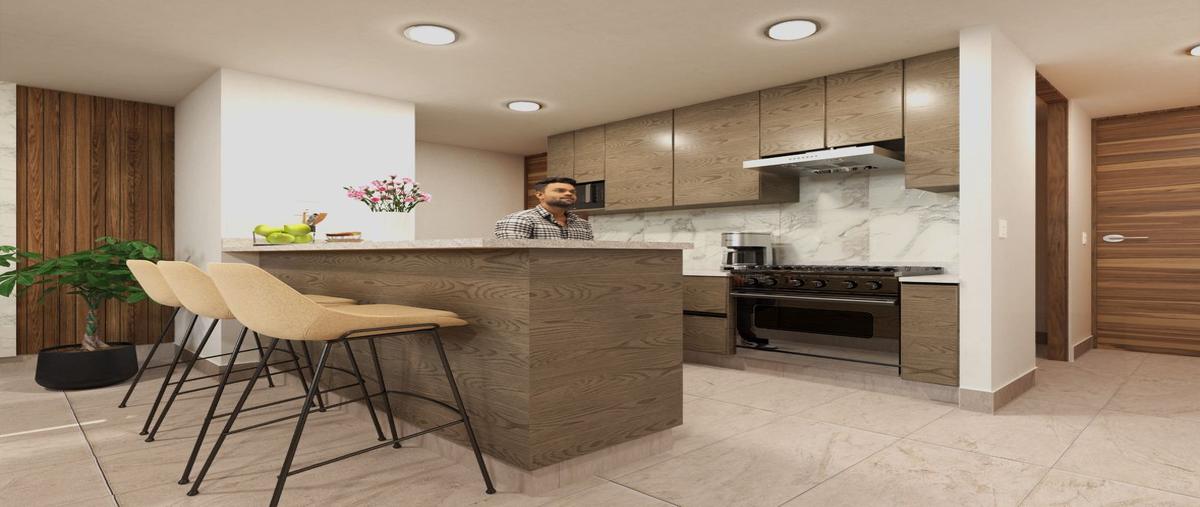 Foto de departamento en venta en  , jardín, san luis potosí, san luis potosí, 0 No. 03