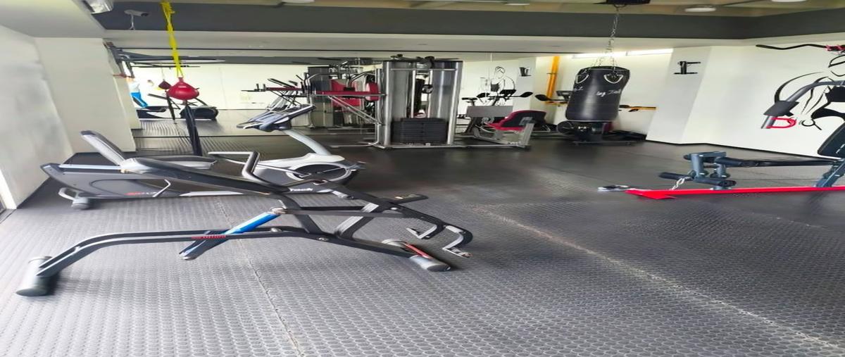 Foto de departamento en renta en  , jardín, san luis potosí, san luis potosí, 0 No. 04