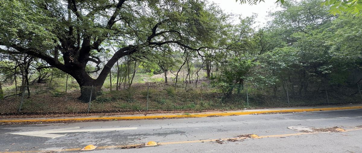 Foto de terreno habitacional en venta en  , jardines coloniales, san pedro garza garcía, nuevo león, 0 No. 06