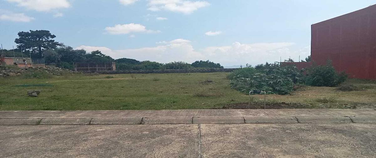 Foto de terreno habitacional en venta en  , jardines de ahuatepec, cuernavaca, morelos, 0 No. 04