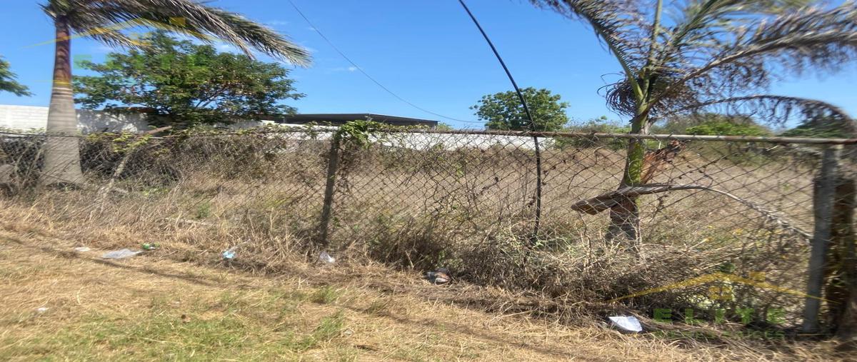 Foto de terreno habitacional en , jardines de arboledas, altamira, tamaulipas, 0 foto 04 Foto de terreno habitacional en venta en , jardines de arboledas, altamira, tamaulipas, 0 No. 04